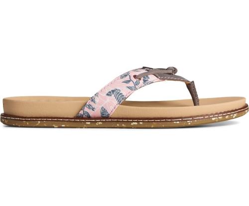 Sperry Waveside PLUSHWAVE Flip Flop Sandals Pink | BST-681329