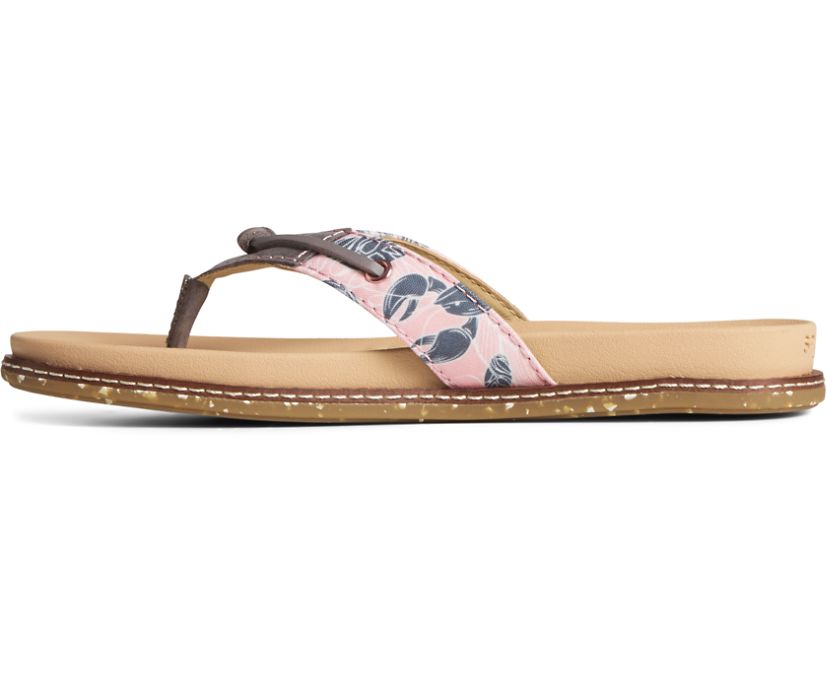 Sperry Waveside PLUSHWAVE Flip Flop Sandals Pink | BST-681329